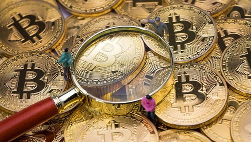 A股六大數(shù)字貨幣龍頭股，國(guó)家隊(duì)重倉(cāng)布局，網(wǎng)絡(luò)與信息安全軟件開發(fā)價(jià)值被低估